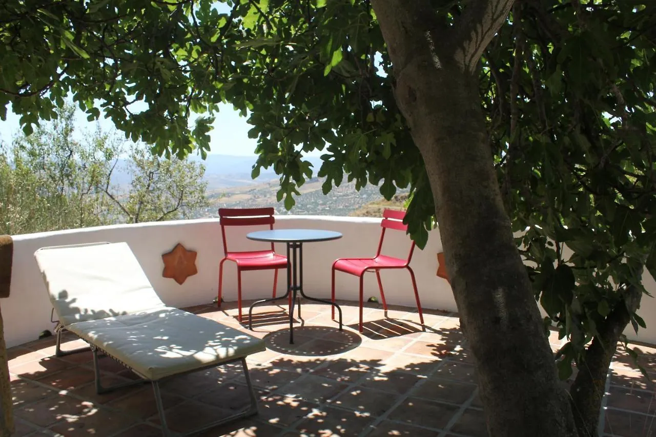 Couette-café Bed and Breakfast El Nispero Dulce à Alcaucín